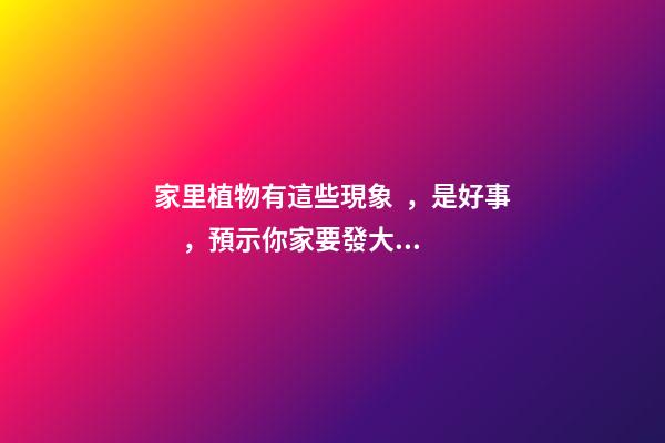 家里植物有這些現象，是好事，預示你家要發大財了！